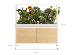 Home Hydroponic Garden Dimensions